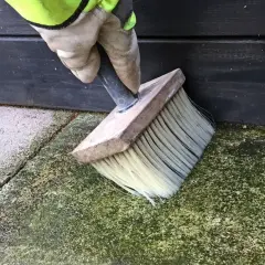 En hand med handske använder en borste för att ta bort mossa på stenplattor. Ett husmorstips för renare uteplats.