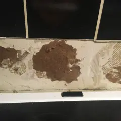 Skadad vägg där kakel lossnat och blottar masonit. En renovering behövs.