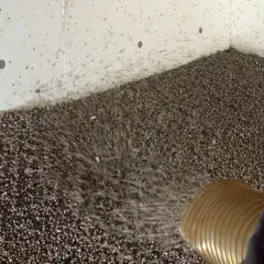 Fyller igen en torpargrund med isoleringsmaterial. En slang sprutar ut små kulor som täcker golvet.