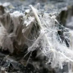 Närbild på hur asbest ser ut: tunna, vita fibrer som liknar bomull eller hår, fast i en hårdare, stenliknande massa.