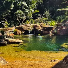 En person sitter vid en vacker natur pool omgiven av stenar och frodig grönska.