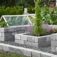 Inspiration rabatt med sten. Upphöjda odlingslådor av betongblock med växthuslock, jordgubbar och blommor.