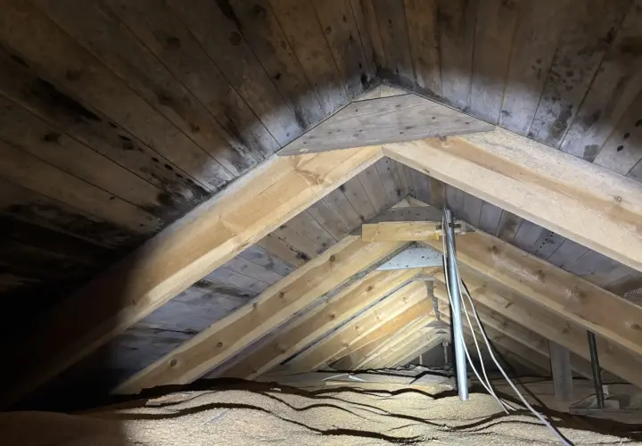 Takbjälkar i ett hus med synlig fukt och mörka fläckar, som kan tyda på svamp i huset.