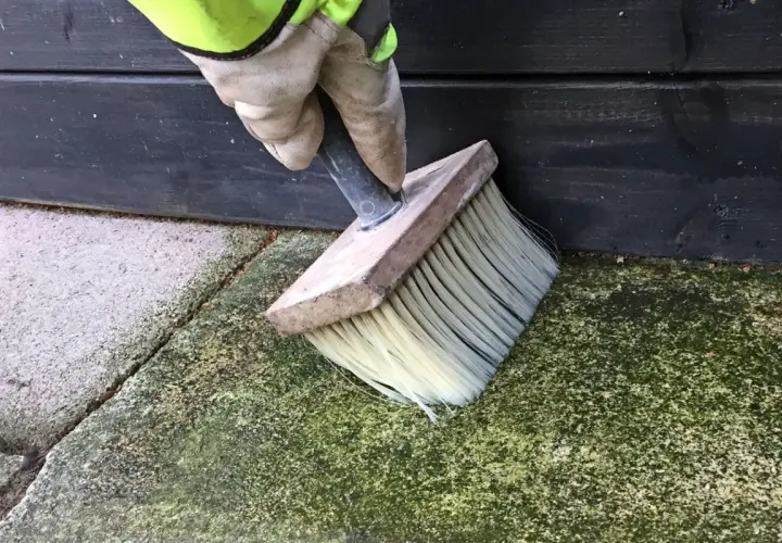 En hand med handske använder en borste för att ta bort mossa på stenplattor. Ett husmorstips för renare uteplats.