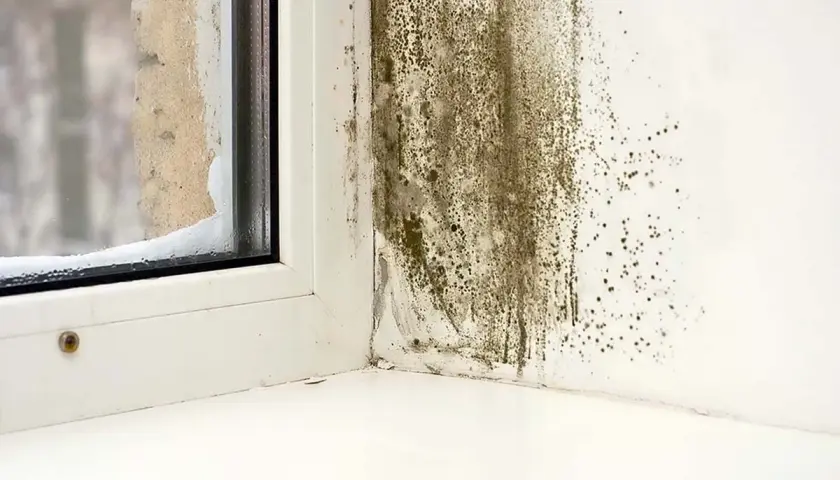 Mögel på väggen vid ett fönster i ett gammalt hus, tecken på dålig ventilation.