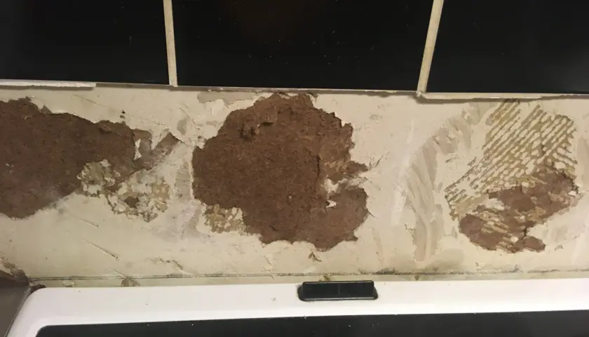 Skadad vägg där kakel lossnat och blottar masonit. En renovering behövs.