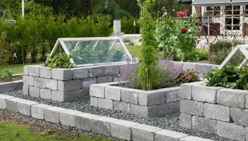 Inspiration rabatt med sten. Upphöjda odlingslådor av betongblock med växthuslock, jordgubbar och blommor.