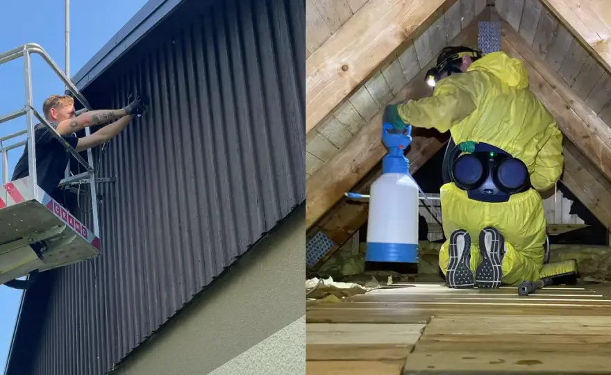 Syllen i huset - så undviker du fuktproblem i vägg och grund