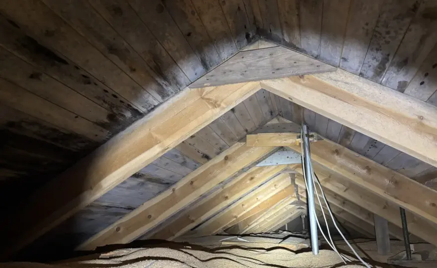 Fukt och mögel i huset - så hänger isolering och ventilation ihop