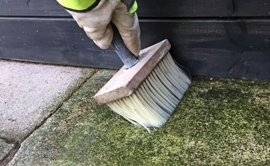 Mossa på stenplattor - så får du bort den på rätt sätt