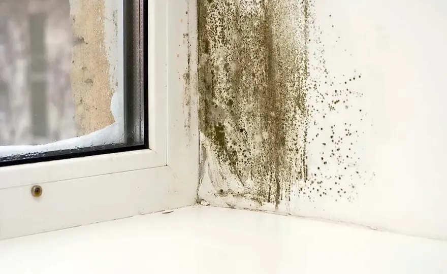 Ventilation på vinden i ett gammalt hus - så undviker du fukt