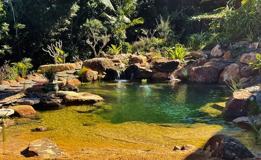 Naturpool i trädgården - så fungerar den och vad den kostar