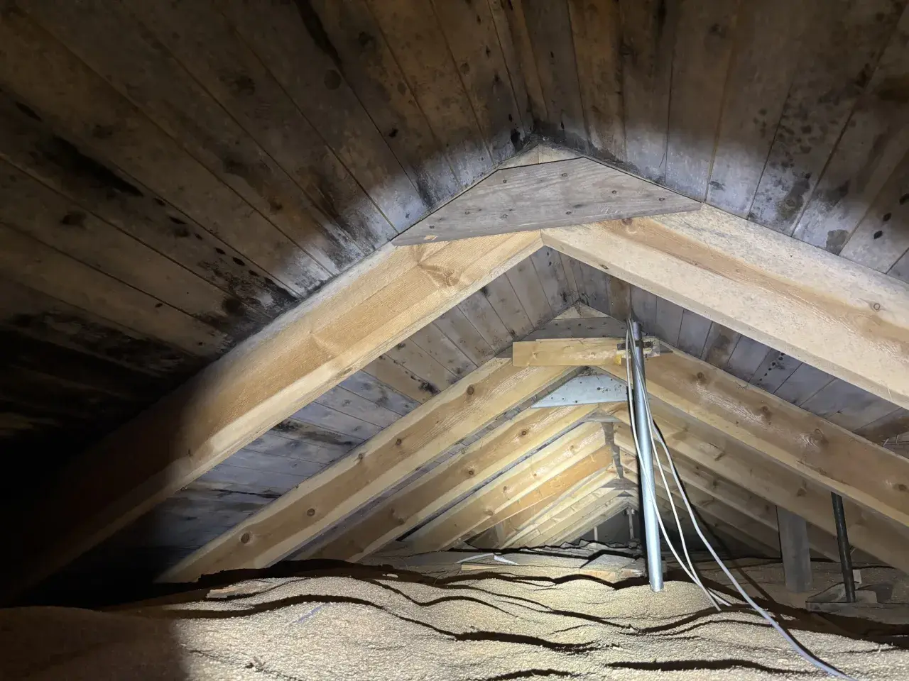 Takbjälkar i ett hus med synlig fukt och mörka fläckar, som kan tyda på svamp i huset.