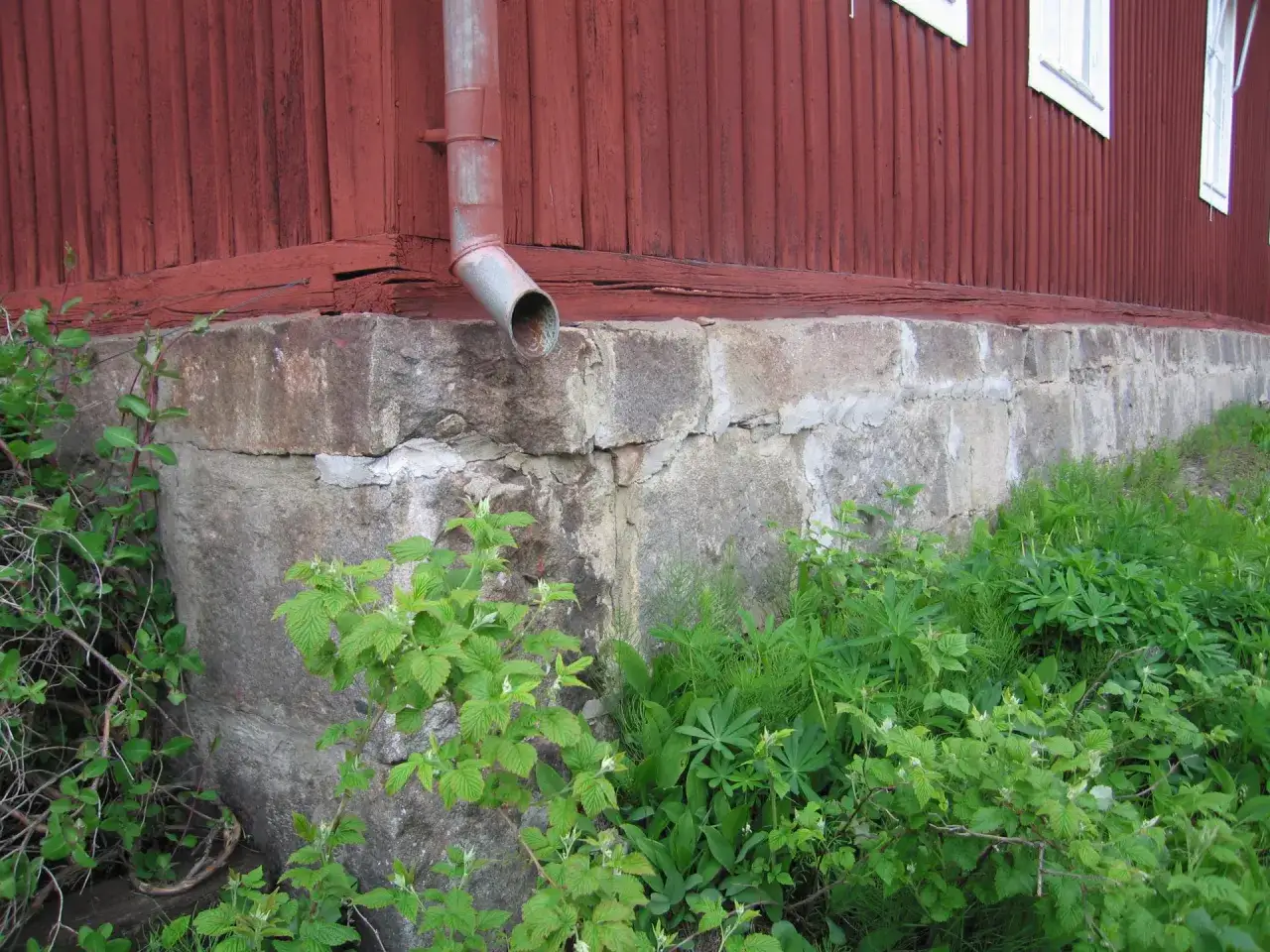 Rött trähus med stensockel och stuprör. Grön växtlighet frodas runt husgrunden.